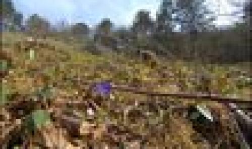 Projet Natagora à Ferrières